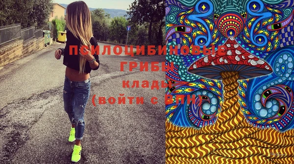 гидра Алексин
