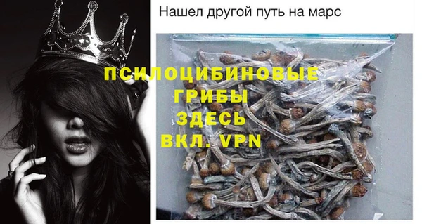 гидра Алексин