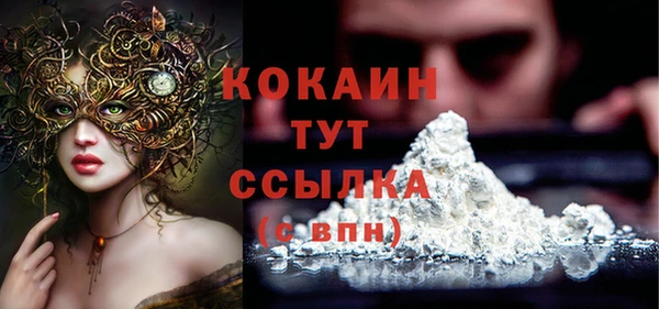 гидра Алексин