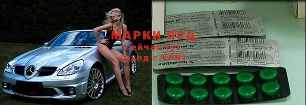 гидра Алексин